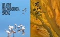 《大河之洲》第二季：在四季轮转中呈现一场自然盛宴