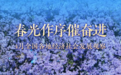 稳中求进每月看丨春光作序催奋进——4月全国各地经济社会发展观察