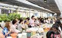 港澳台生到华南农业大学体验农耕文化