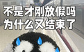 请问这是石榴吗？不，这是我回家的路