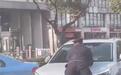 官方回应交通执法人员趴引擎盖被顶行：后被社会车辆截停
