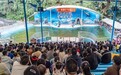 “五一”旅行DNA启动 雅安亮出五颗小红星