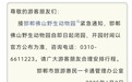 河北一动物园有熊出逃后紧急闭园，村委会：尚未找到，避免靠近附近区域