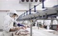 保障消费者买好肉、过好节——湖南最大生猪屠宰企业生产见闻