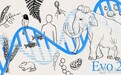 Evo 2与津渡生科GeneLLM™共启生物科学的大模型时刻