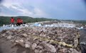 探访宣化郑家沟遗址(5)