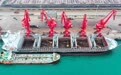 山东港口日照港木材进港忙