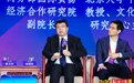 北京大学教授张颐武：中外文化交流呈现“政经复杂、文化升温”反差