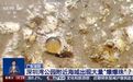 海边密集出现“爆爆珠”？多地提醒：不要下水！不要捡