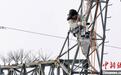 国网黑龙江电力：“机器人”带电作业 护航亚冬盛会