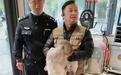 民警正在疏导交通，突然发现一只大雁