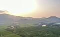 航拍江西新余夏日秀美田园 稻浪翻涌映村郭