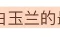 姐…出名前还干过这？