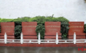 活力中国调研行|博物馆+音乐节，这座百年“酒城”飘出文旅新浓香