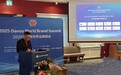 品牌数字证券化，“2024世界品牌500强”在瑞士达沃斯发布
