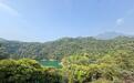 鼎湖山自然保护区：守护中华穿山甲 绘制全球生物地图