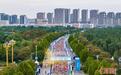 2025江苏泗洪马拉松燃情开跑 六千跑友逐梦湿地之都