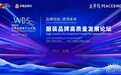 从“品牌向尚”到“质领未来”解码中国服装品牌高质量发展新路径