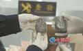 厦门：6块古生物化石藏身出口包裹