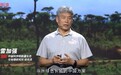 非洲有道“绿色长城”，“中国在，就能赢”