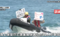 日媒：捕鲸季即将来临，日本海上保安厅针对反捕鲸团体进行拘捕演练