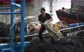 海南：伏季休渔结束 渔船避风暂缓出海(4)
