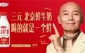 财报解码三元北京鲜牛奶：100% 自有奶源与T0供应链优势撬动百亿低温市场