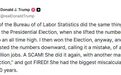 特朗普怒斥“这是骗局”，两党人士都不干了