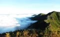 高黎贡山：从认识到敬畏，我的四个“意想不到”