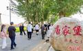 （乡村行·看振兴）“中国黄花之乡”：小小黄花如何撬动乡村大发展