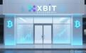 稳定币供应量井喷式增长创纪录！最新 XBIT 护航链上流动性复苏
