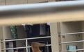 猴子闯进贵州大学男生宿舍，学生边喊边躲，学校工作人员：建议离“猴师兄”远一点