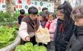 武汉这群小学生种菜送爱心，情暖社区