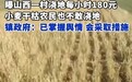 厦门新形态费体劳动者免就业检