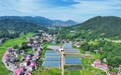 江西上栗“候鸟农人”的跨省创业梦结出农旅硕果