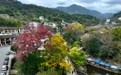 福州九峰村冬景迷人(4)