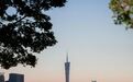 百岁山深度携手2025广州马拉松赛：让奔跑闪耀湾区，让坚持值得珍视