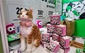 优克联发售PetPhone，首次实现宠物与人双向电话