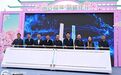 2025年海峡两岸（清流）樱花文化季启动