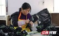 益阳南县：家门口办厂 带动农村妇女致富增收