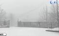 飞雪迎新年！湖北正在下跨年大雪！这些地区暴雪！元旦雨雪散去多保暖