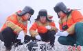 （新春走基层）山西晋城：500千伏线路除冰记