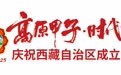 从“山旮旯”到“幸福乡”——西藏民族乡：同心绘就民族团结进步新画卷