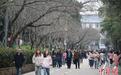 武汉大学樱花零星绽放客潮涌