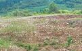 央媒曝光问题后，山西、河南、云南三地开展调查整改，处理相关责任人