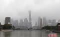 台风“竹节草”带来强降雨 上海苏州河水位上涨明显