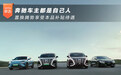 奔驰车主都是自己人 置换腾势享受本品补贴待遇