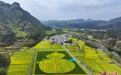 安徽休宁：“葫芦”花海绘春光