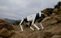 7499 元全球首款家庭智能体机器人：越疆 Rover X1 机器狗发布