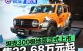 坦克300极地版正式上市 售22.68万元起